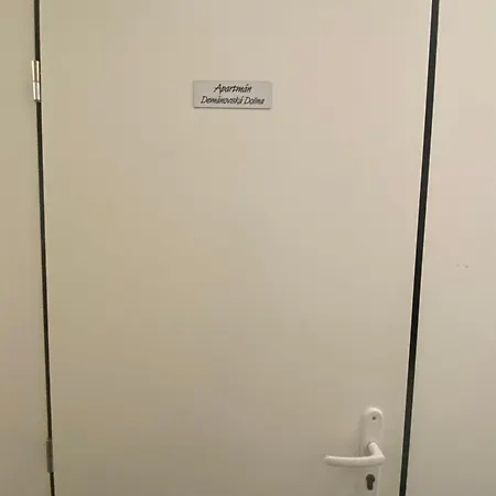 Апартаменты Apartman Demaenovska Dolina *