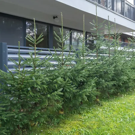 Apartman Demaenovska Dolina 아파트